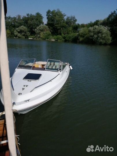 Катер sea ray sevile