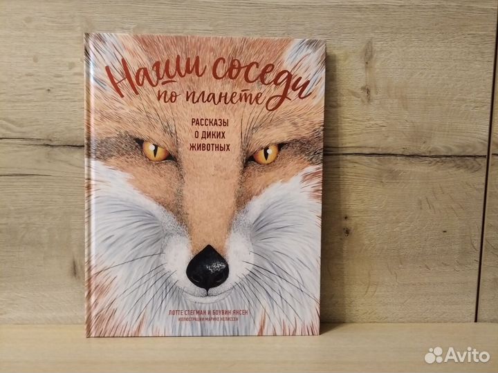 Книга Наши соседи по планете. Стегман, Янсен