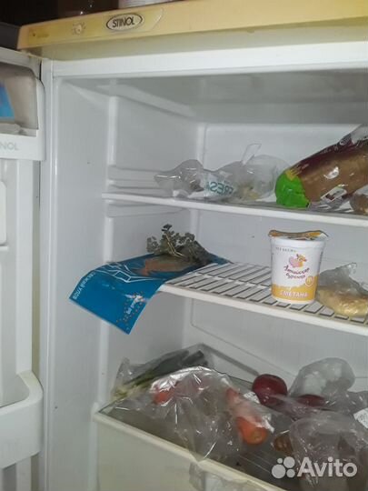 Холодильник stinol