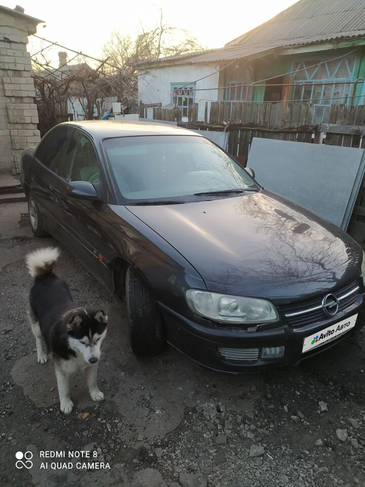 Opel Omega: фото владельца