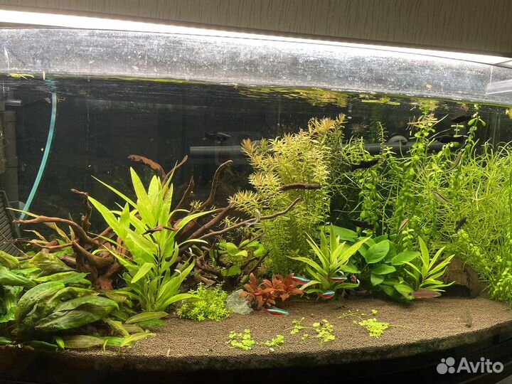 Аквариум с тумбой