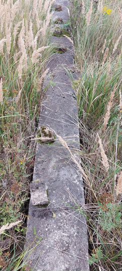 Участок 15 сот. (ИЖС)