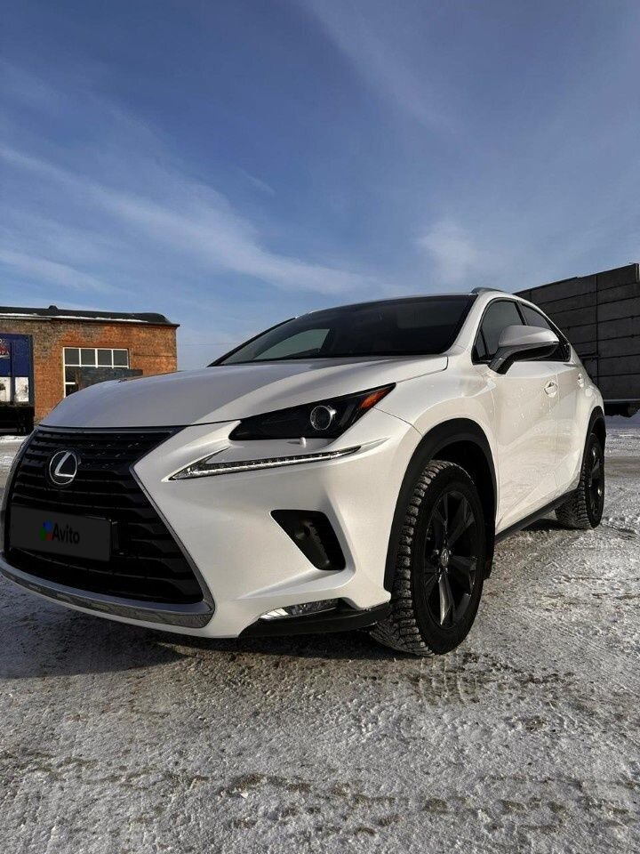 Lexus NX: фото владельца