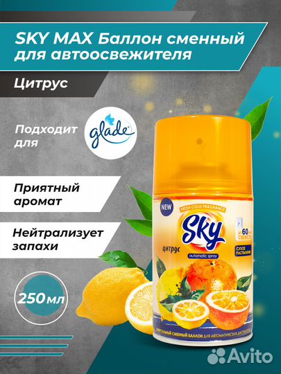 Освежитель воздуха Sky Max сменный баллон 250 мл
