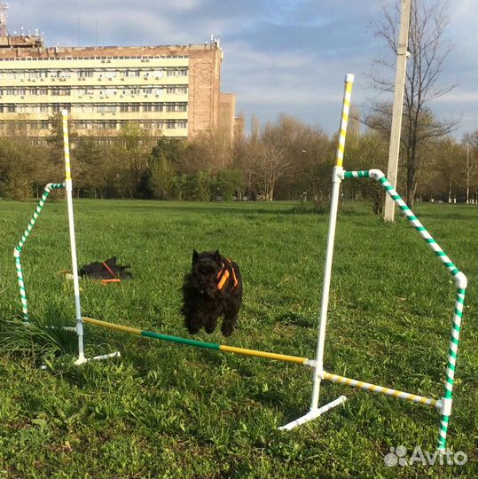 Барьер для аджилити