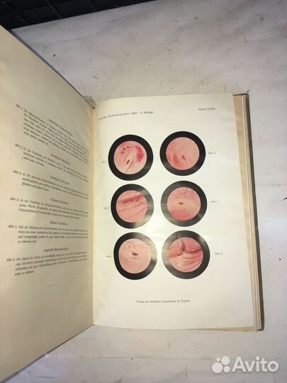 Антикварное издание 1924 года