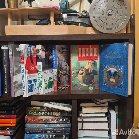 Властелин колец, Тайный оракул, Инсургент