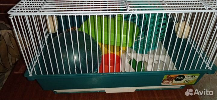 Клетка для грызунов бу