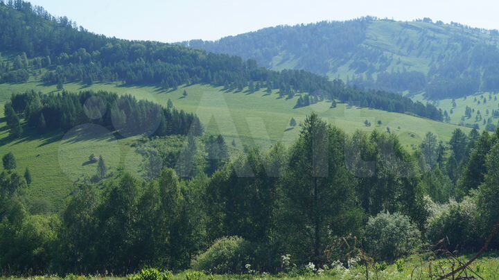 Участок 489,3 га (СНТ, ДНП)