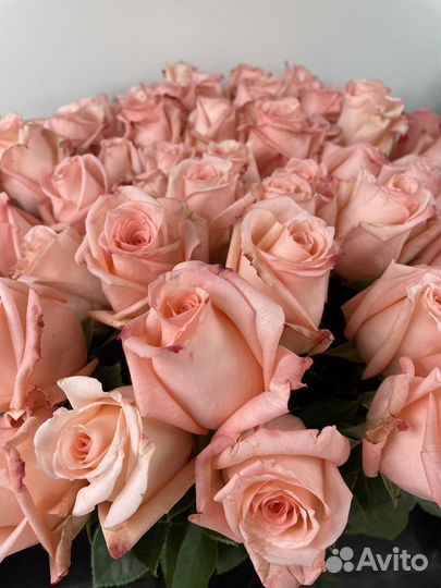 Цветы Розы Опт