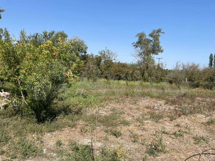 Участок 15 сот. (ИЖС)