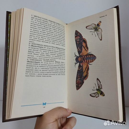 Корнелио М. П. Школьный атлас-определитель бабочек