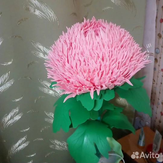 Хризантема