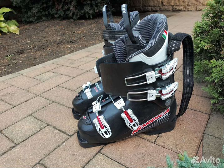 Горные лыжи