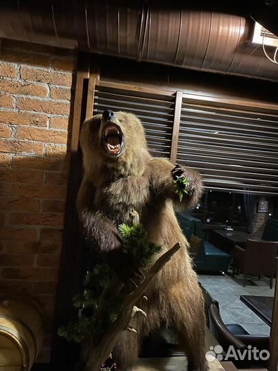 Имитация медведя