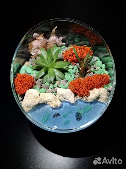 Флорариум 