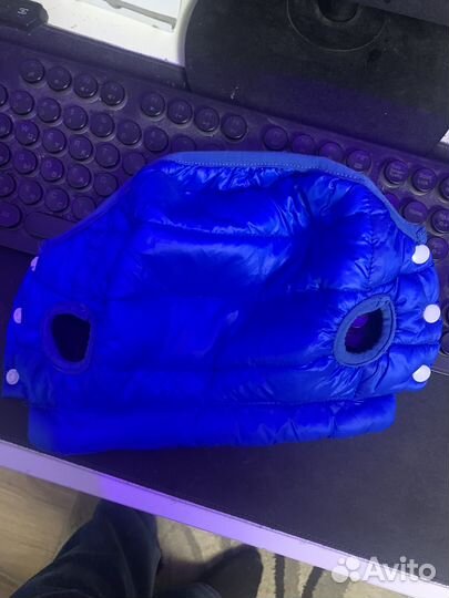 Одежда для маленьких собак