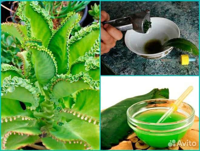 Лосьон натуральный