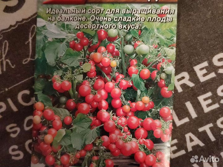 Томат комнатный 