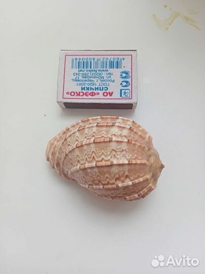 Ракушки, морские галыши и 5кг грунта