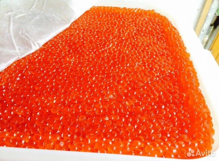 Икра Свежий вылов 2023г