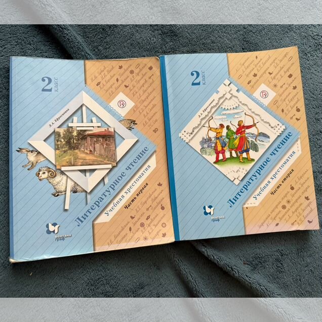 Ефросинина. Литературное чтение 2 класс