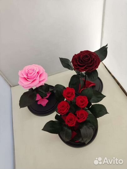 Роза в колбе оптом и в розницу