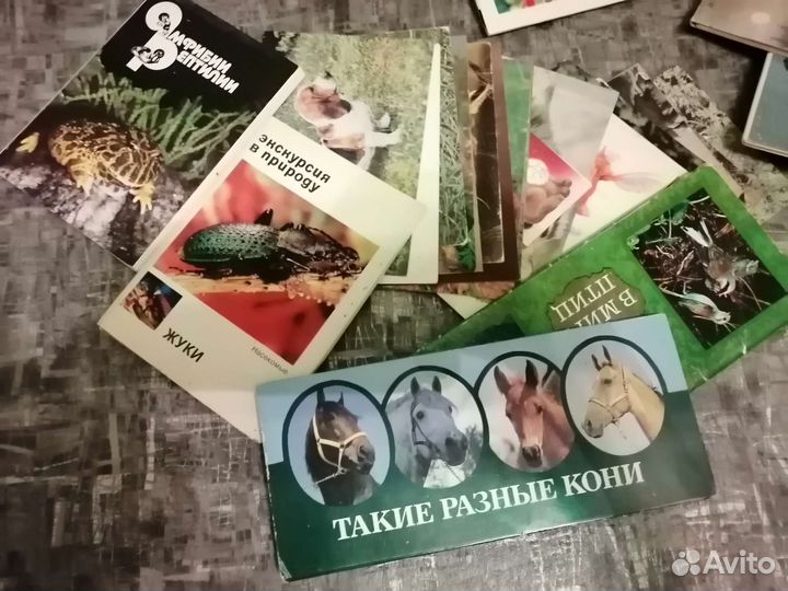 Открытки СССР