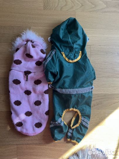 Одежда для собак