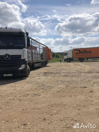 Шрот рапсовый