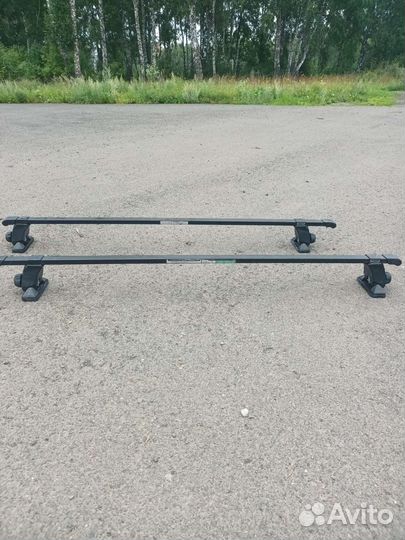 Рейлинги на Nissan Serena C25