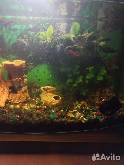 Украшение для аквариума