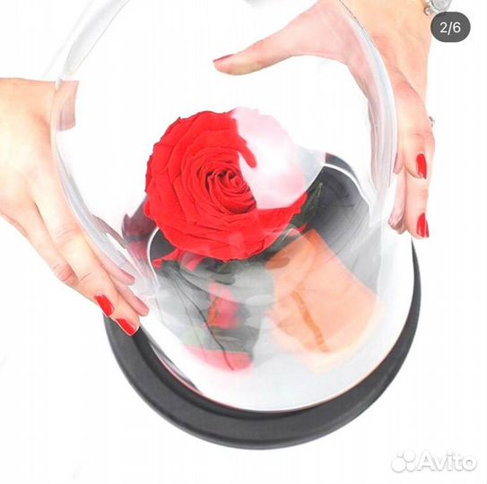 Роза в колбе