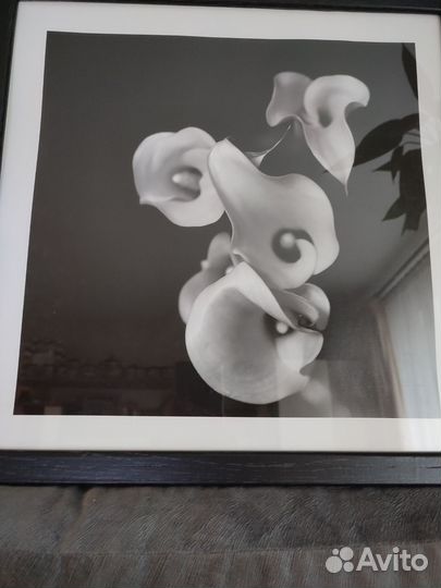 Картина постер IKEA