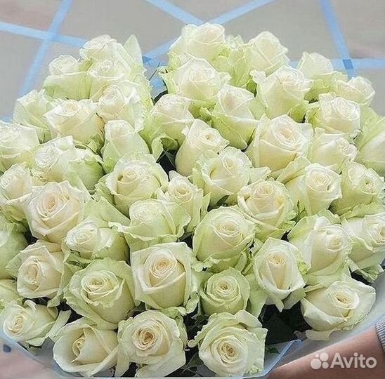 Высокие розы Доставка цветов