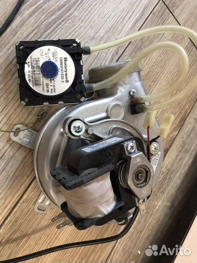 Mora top meteor plus 24KT