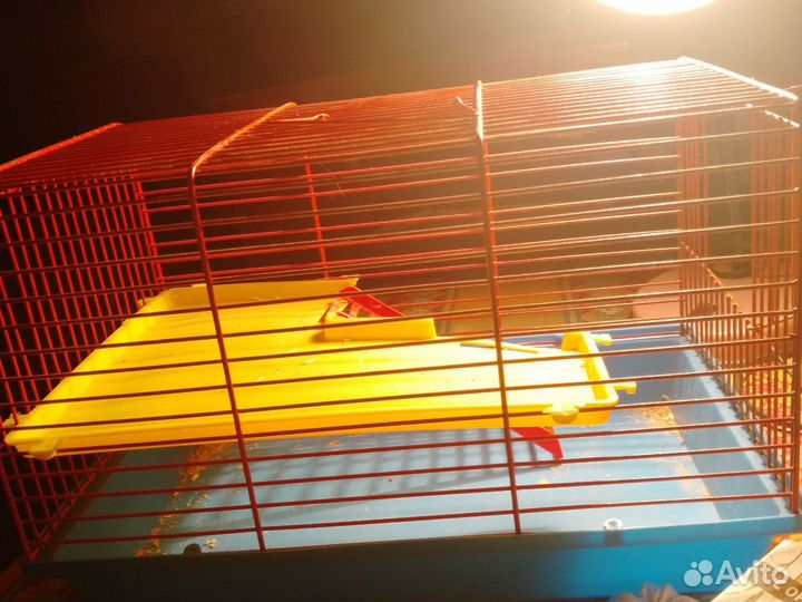 Принадлежности для хомика