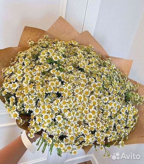 Доставка цветов. Ромашки