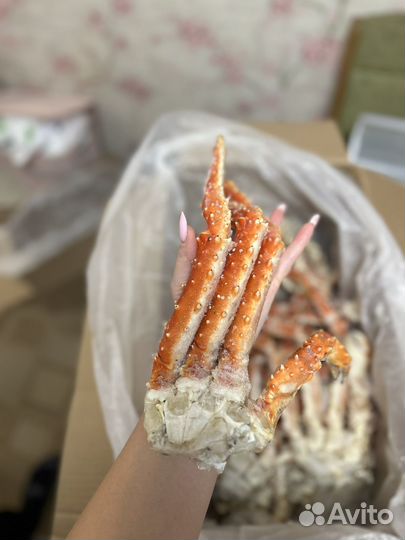 Краб камчатский