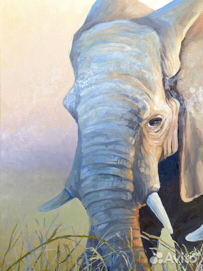 Картина маслом на холсте Слоны на закате