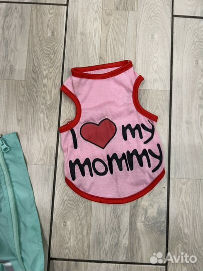 Одежда для собак мелких пород