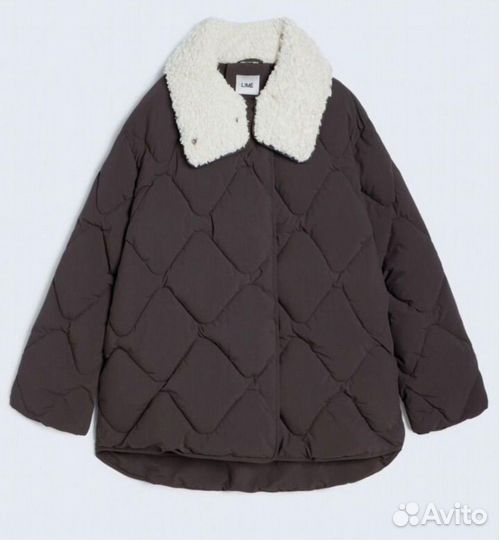 Курика зимняя lime