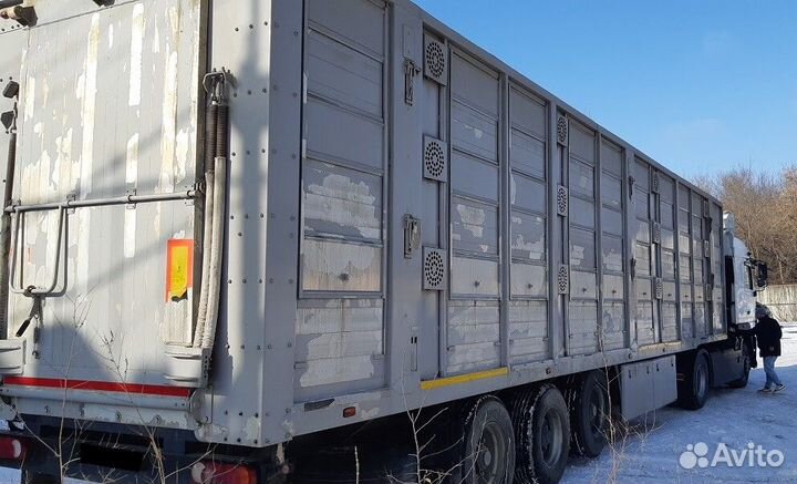 Полуприцеп для перевозки скота Тонар 9827, 2020