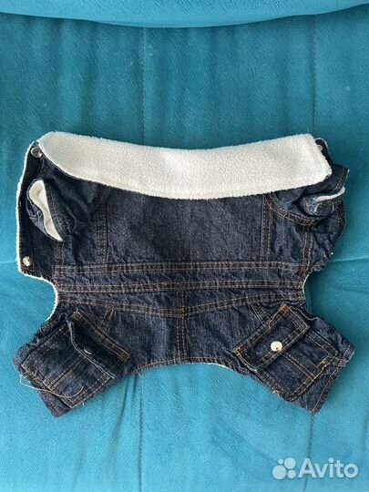 Одежда на маленькую собаку