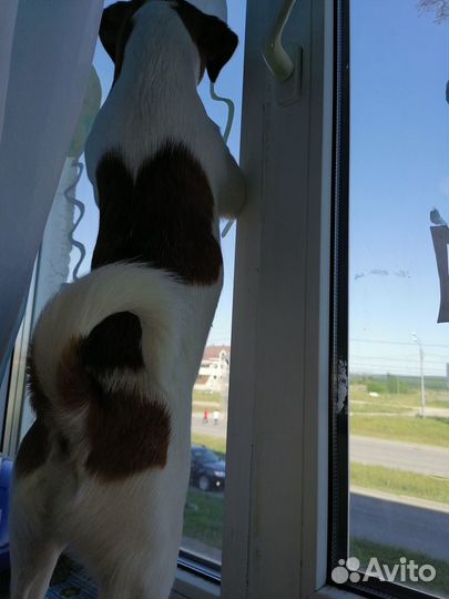 Вязка дрт