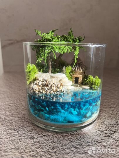 Флорариум Моосариум Подарок