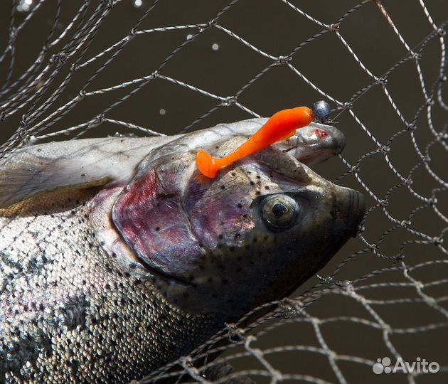 Мягкая приманка Relax ohio 2 (5,0 cm)цвет001,15шт