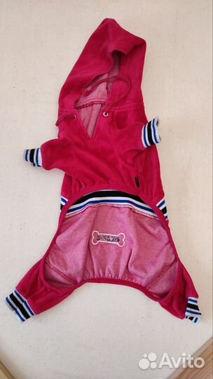 Весенний комбинезон для собаки