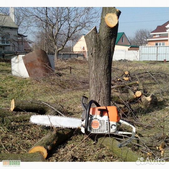 Спилим деревья