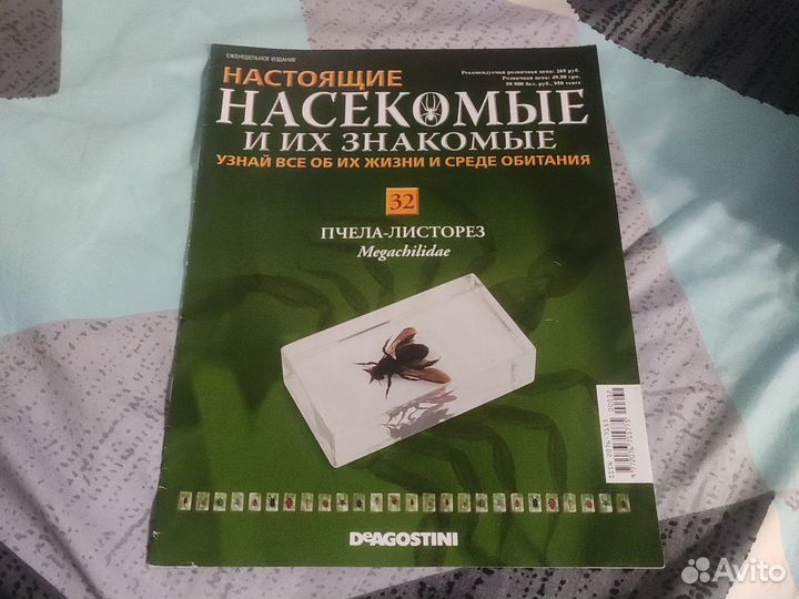 Насекомые и их знакомые